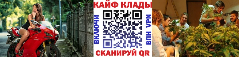 Что такое Шацк Alpha PVP КОКАИН АМФЕТАМИН Галлюциногенные грибы МЕФ ГАШ